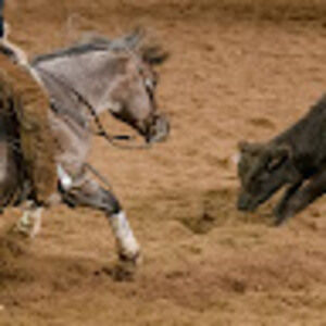 Meet your Posher, Gal